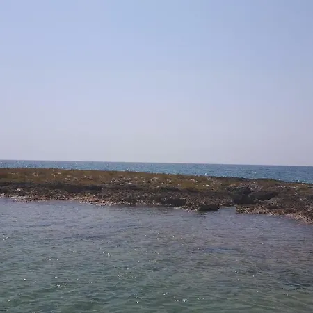 Enjoy